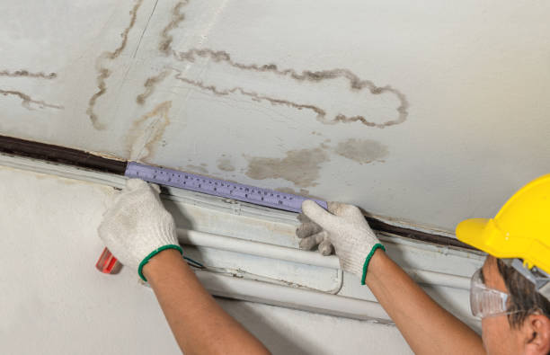Reliable Water Damage contractor in Lyons, MI by Water Damage Irwin